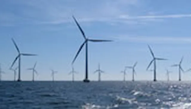 Offshore renewables due diligence