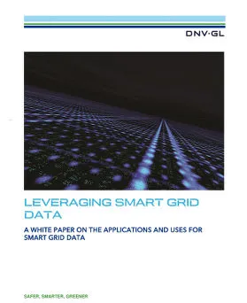 Leveraging smart grid data