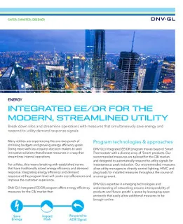 Integrated energy efficiency and demand response for the modern streamlined utility