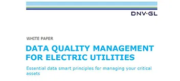 Data quality management for electric utilities