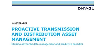 Proactive transmission and distribution asset management