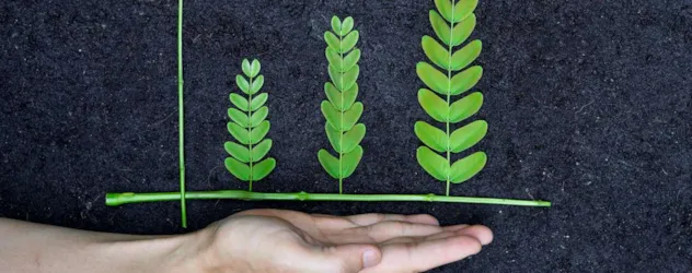 Greenwashing: 6 reasons why businesses do it