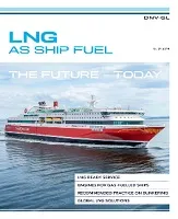 LNG as ship fuel