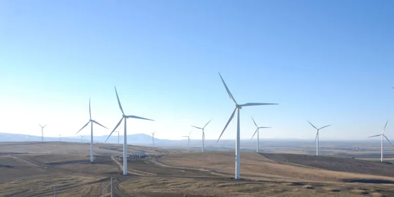 Wind resource assessment software for wind farm development - WindFarmer: Analyst