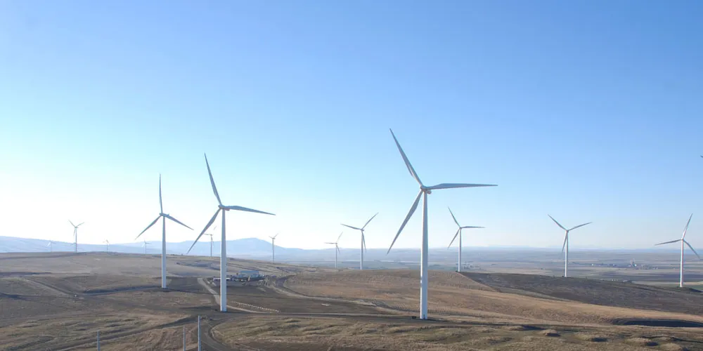 Wind resource assessment software for wind farm development - WindFarmer: Analyst