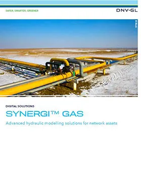 Synergi Gas brochure