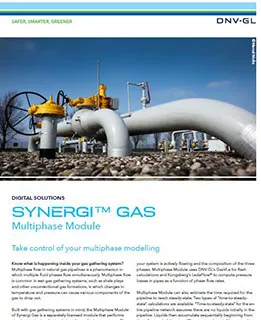 Synergi Gas - Multiphase module 