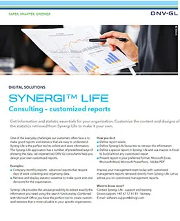 Synergi Life Consulting - customized reports