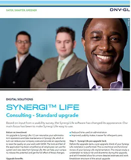 Synergi Life Consulting - Standard upgrade